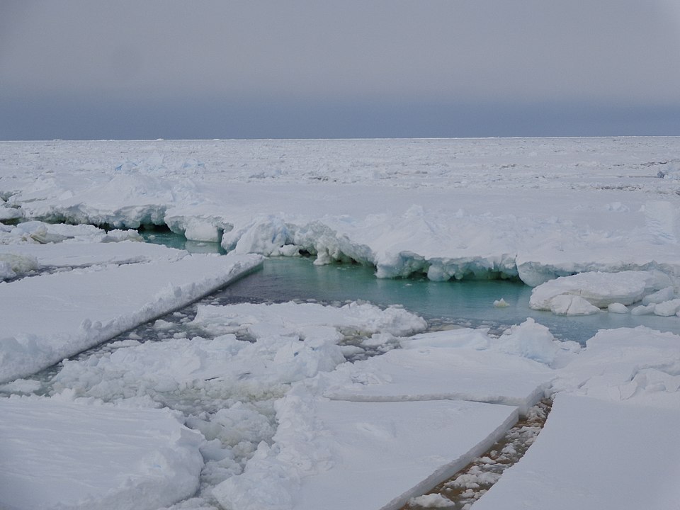 Fingerprints of the Gods Exhibit 7, The Ross Sea Cores