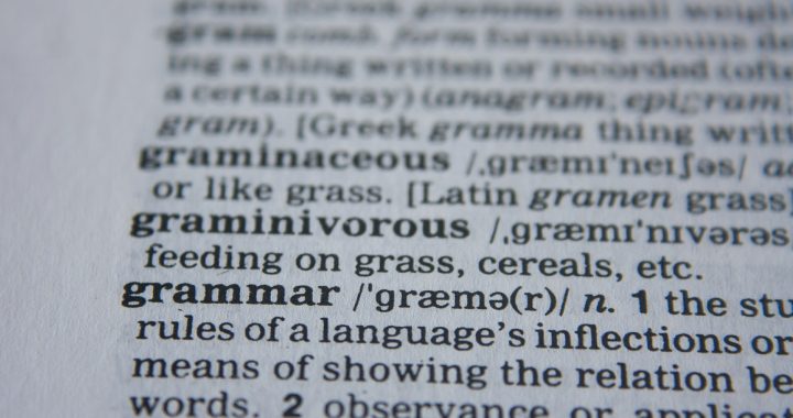 Language on the Fringe 6 – No such thing as grammar?