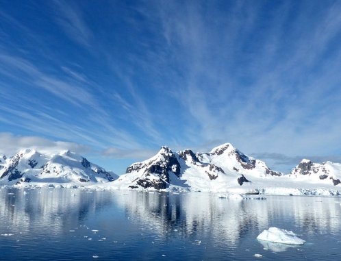 Antarctic Farce