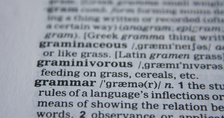 Language on the Fringe 6 – No such thing as grammar?